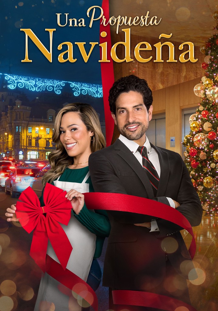 A Christmas Proposal película Ver online en español